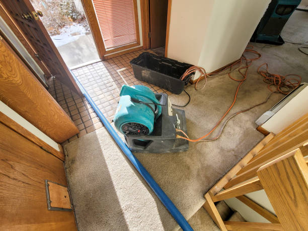 Best Water damage mitigation services  in Woodacre, CA