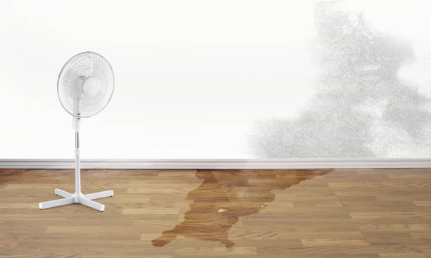 Best 24/7 water damage repair  in Woodacre, CA