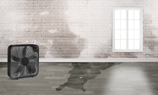 Best Local water damage restoration  in Woodacre, CA