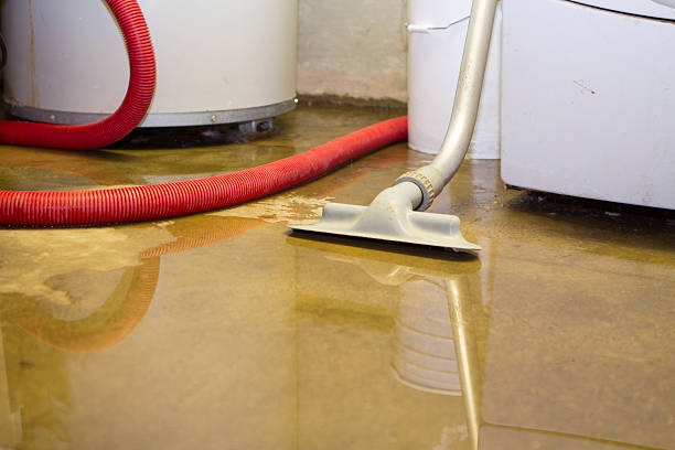 Best Water damage restoration cost  in Woodacre, CA