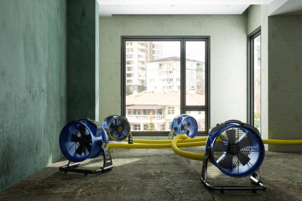Best Water damage restoration near me  in Woodacre, CA