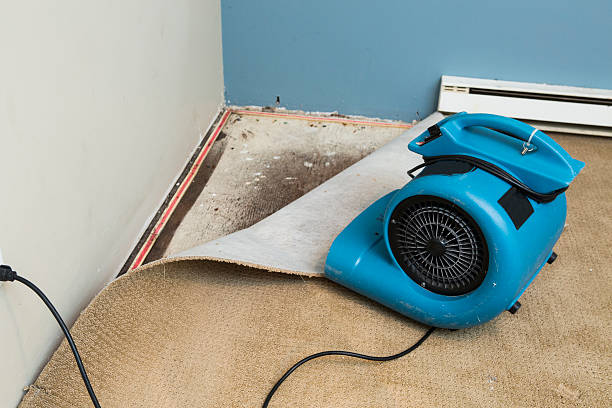 Best Residential water damage restoration  in Woodacre, CA